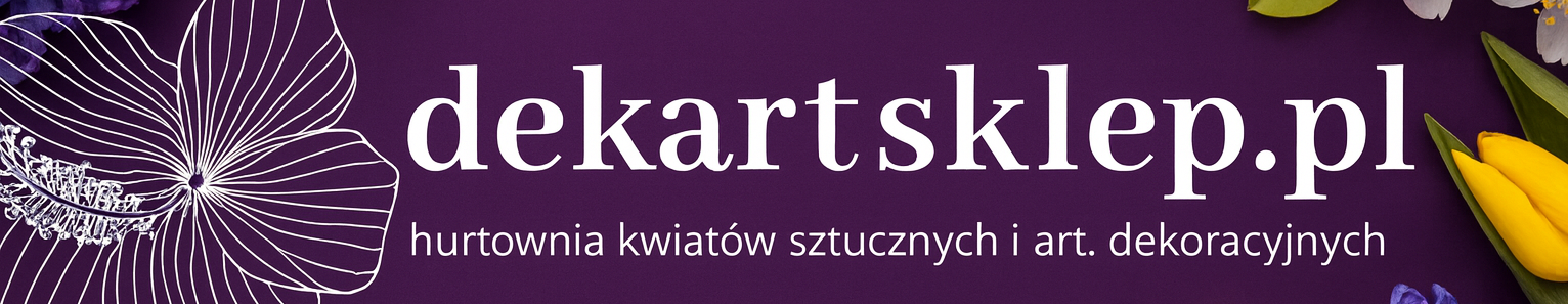 Shoper demo - strona główna